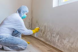 Best Biohazard Mold Removal  in Mystic Island, NJ